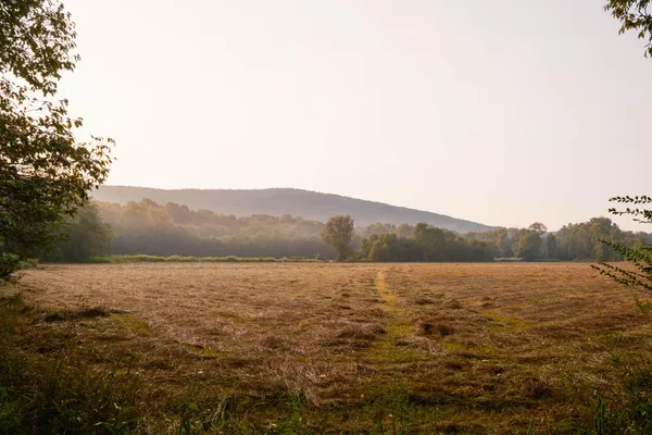 $2,900,000 | 0 Gilliam Road, Gurley, AL 35748