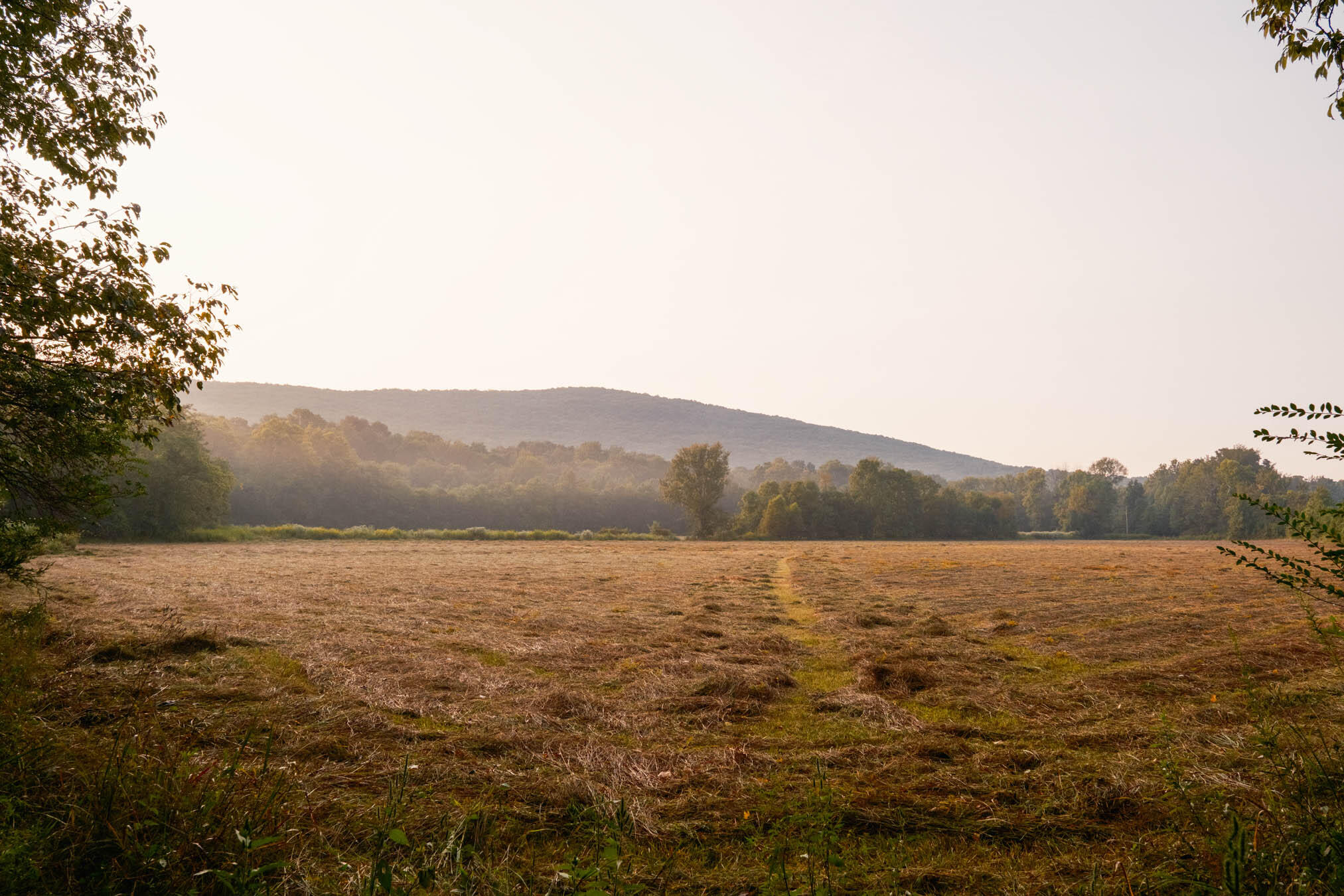 0 Gilliam Road Gurley, AL 35748 - Photo 63 of 69 PPF-1063