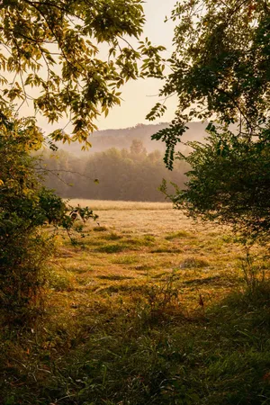 $2,900,000 | 0 Gilliam Road, Gurley, AL 35748