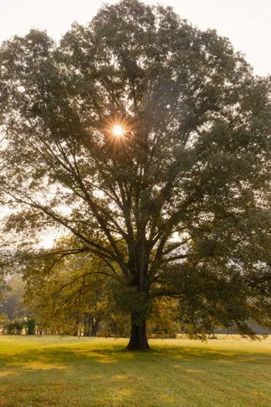 $2,900,000 | 0 Gilliam Road, Gurley, AL 35748