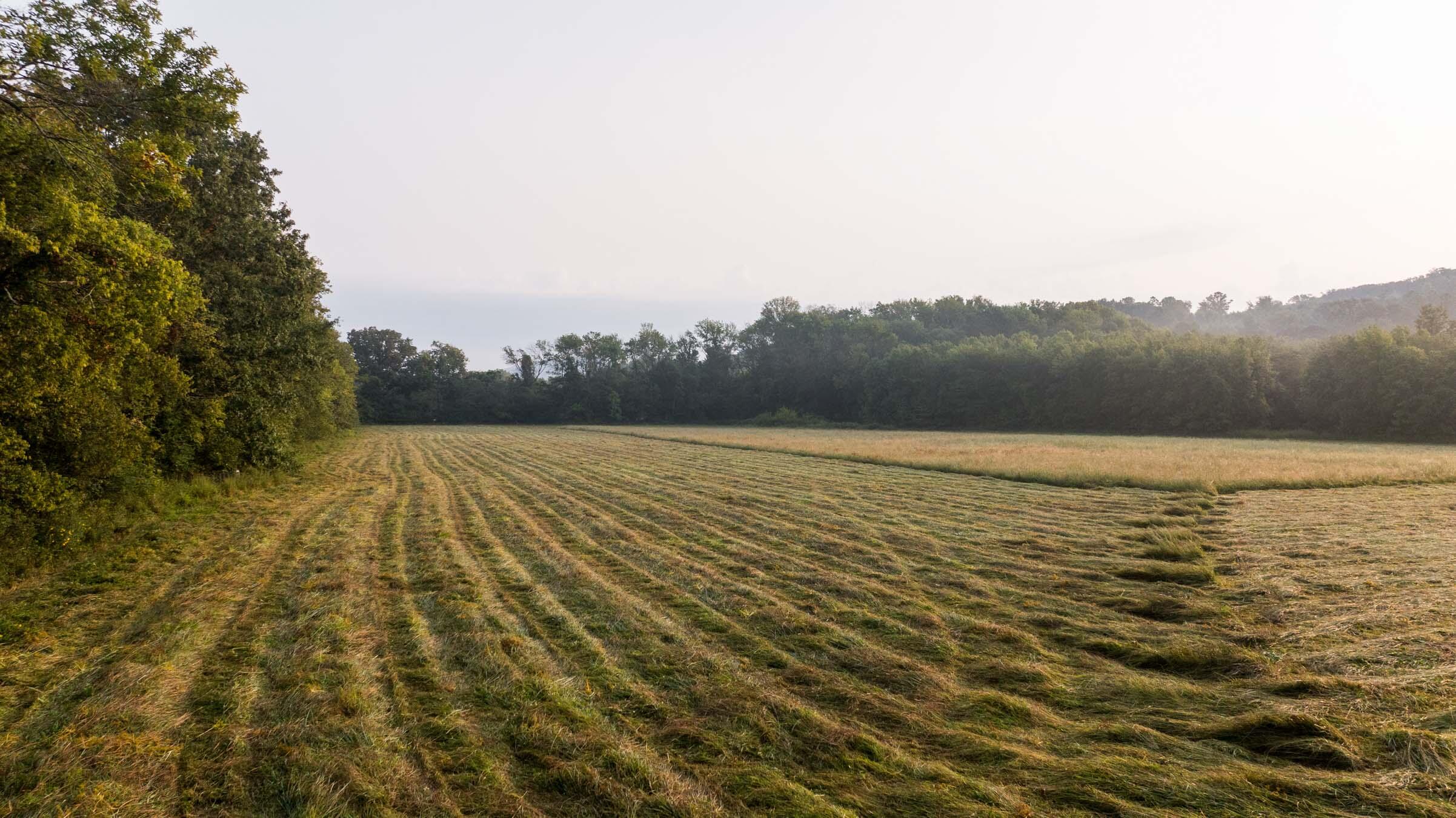 0 Gilliam Road Gurley, AL 35748 - Photo 69 of 69 PPF-1069