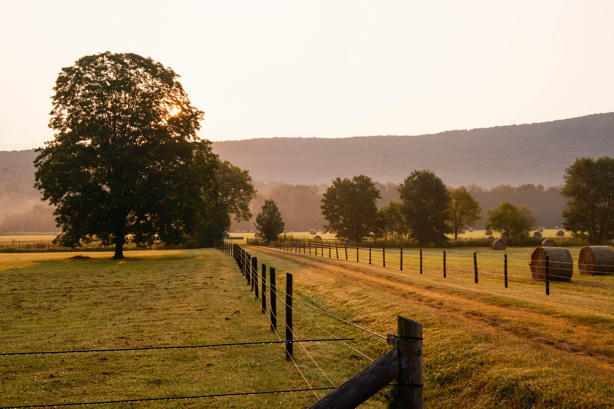 0 Gilliam Road Gurley, AL 35748 - Photo 8 of 69 PPF-1008