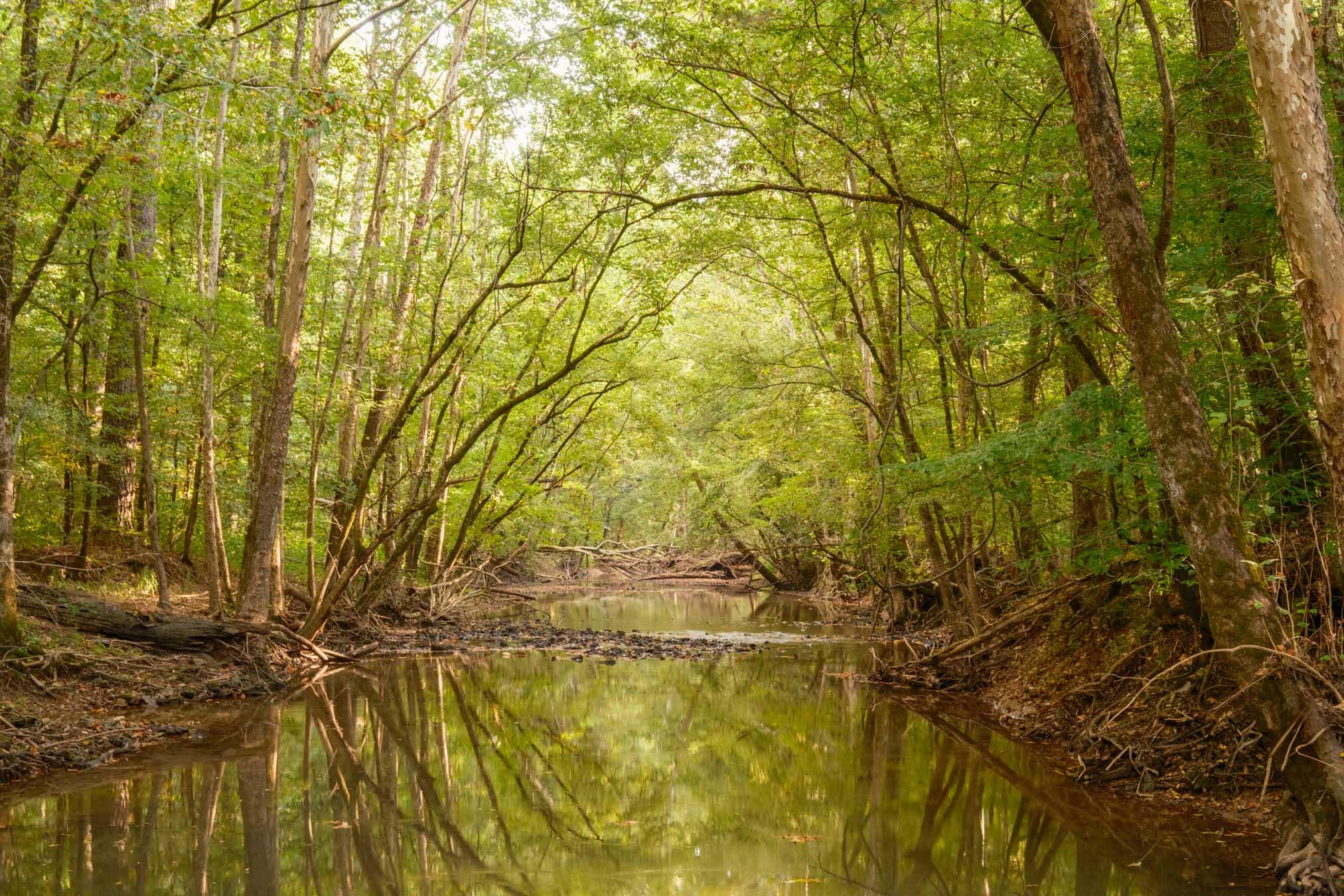 0 Gilliam Road Gurley, AL 35748 - Photo 9 of 69 PPF-1009