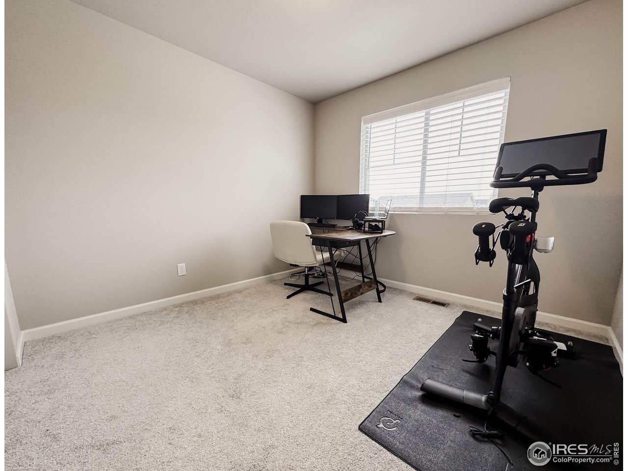 531 Ranchhand Drive Berthoud, CO 80513 - Photo 19 of 34 a view of a workspace with gym equipment