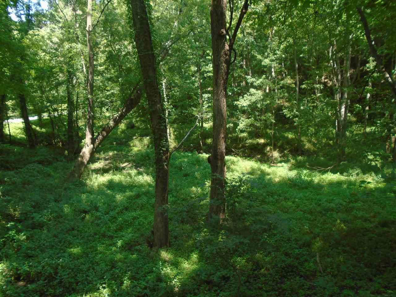 14372 East River Road Shoals, IN 47581 - Photo 20 of 26 Gallery Image 20
