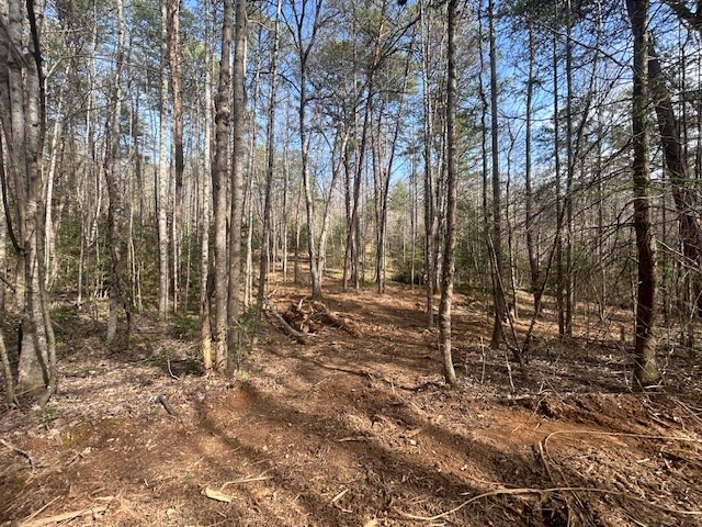 5.95-ac Alp Lane Blue Ridge, GA 30513 - Photo 11 of 15 Gallery Image 11