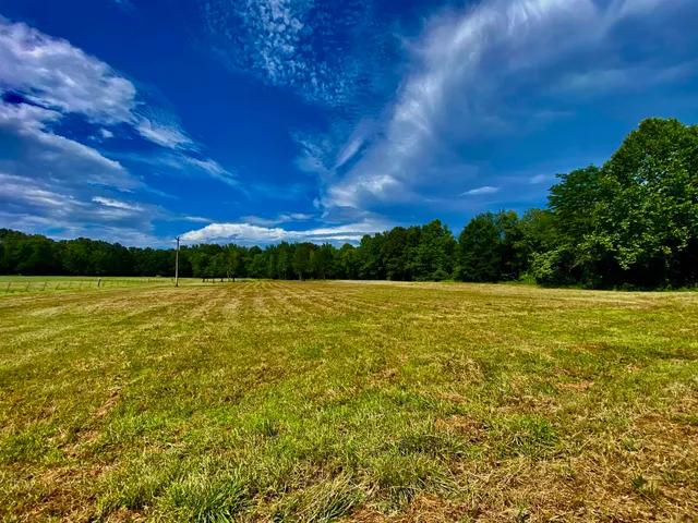 $69,900 | 12.63-acres 12.63-acres Pea Vine Road, Middleton, TN 38052