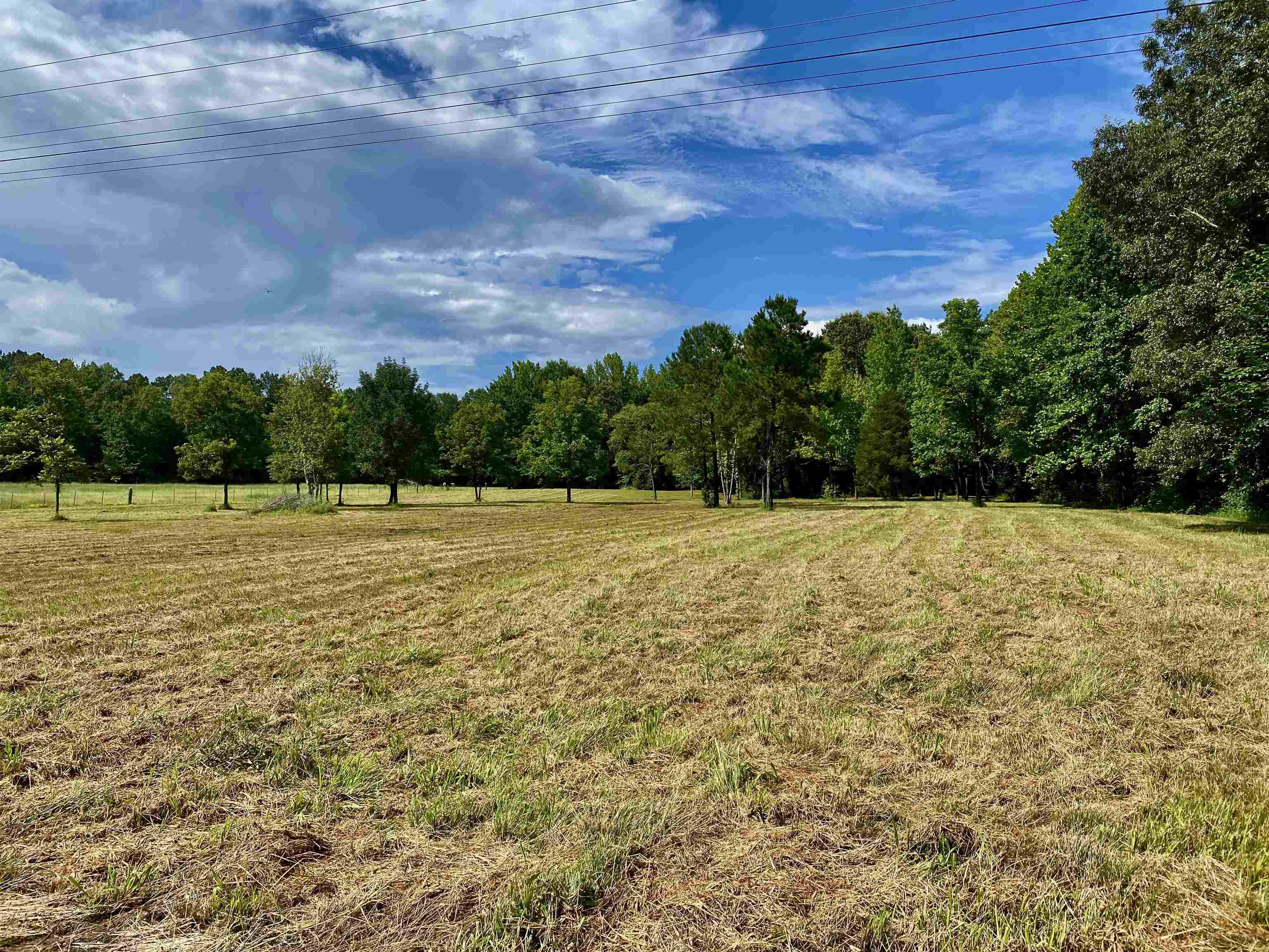 12.63-acres 12.63-acres Pea Vine Road Middleton, TN 38052 - Photo 2 of 8