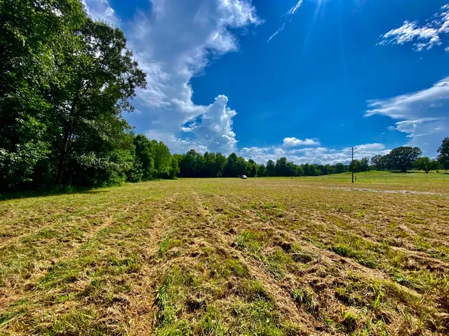 $69,900 | 12.63-acres 12.63-acres Pea Vine Road, Middleton, TN 38052