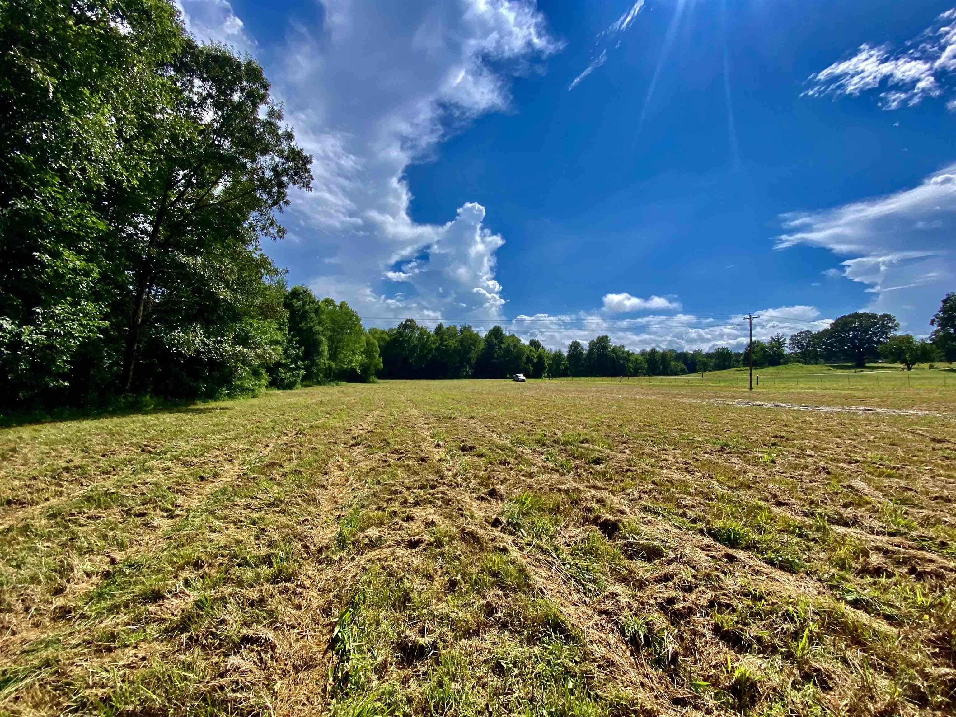 12.63-acres 12.63-acres Pea Vine Road Middleton, TN 38052 - Photo 3 of 8