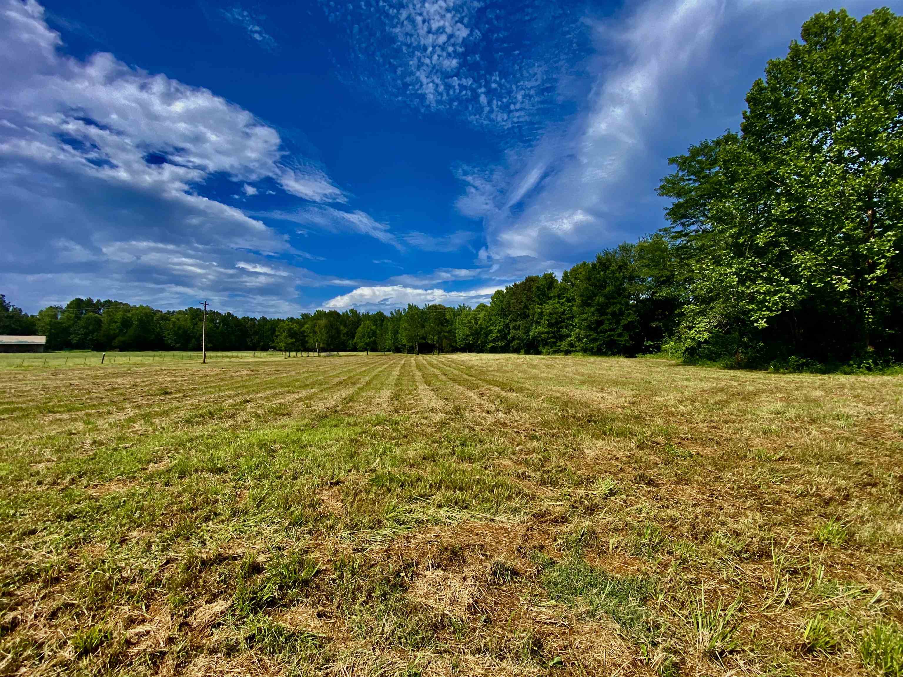 12.63-acres 12.63-acres Pea Vine Road Middleton, TN 38052 - Photo 6 of 8