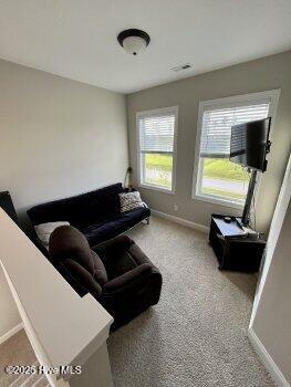 187 Peytons Ridge Drive Hubert, NC 28539 - Photo 45 of 54 45