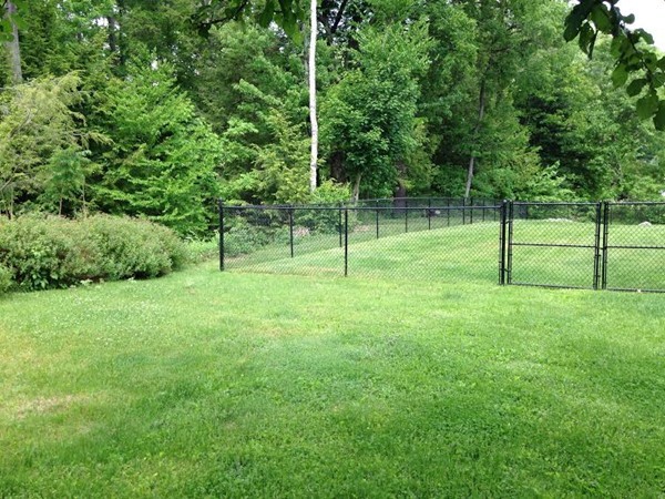 84 Shattuck Road Russell, MA 01071 - Photo 2 of 7 a view of outdoor space with deck and yard
