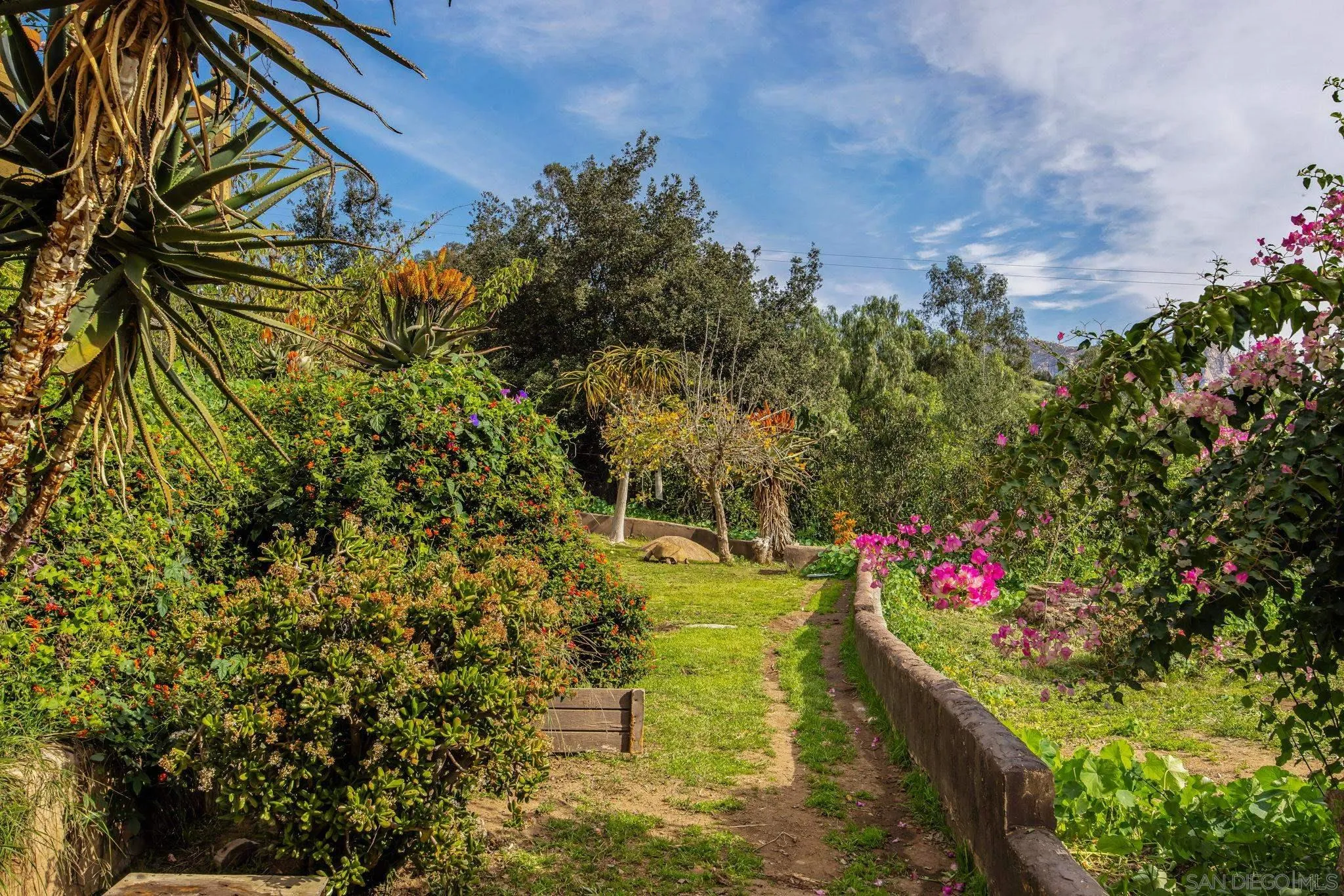 14416 Willow Road Lakeside, CA 92040 - Photo 37 of 44