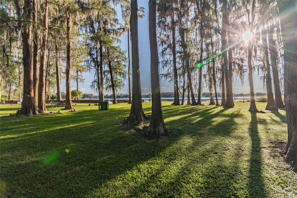 9504 Marley Avenue New Port Richey, FL 34654 - Photo 28 of 34