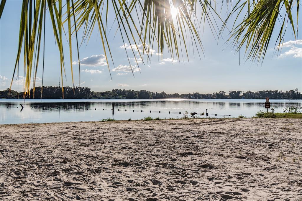 9504 Marley Avenue New Port Richey, FL 34654 - Photo 31 of 34