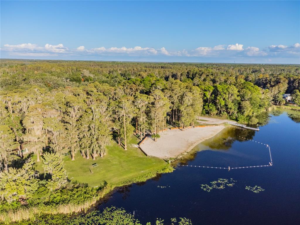 9504 Marley Avenue New Port Richey, FL 34654 - Photo 34 of 34