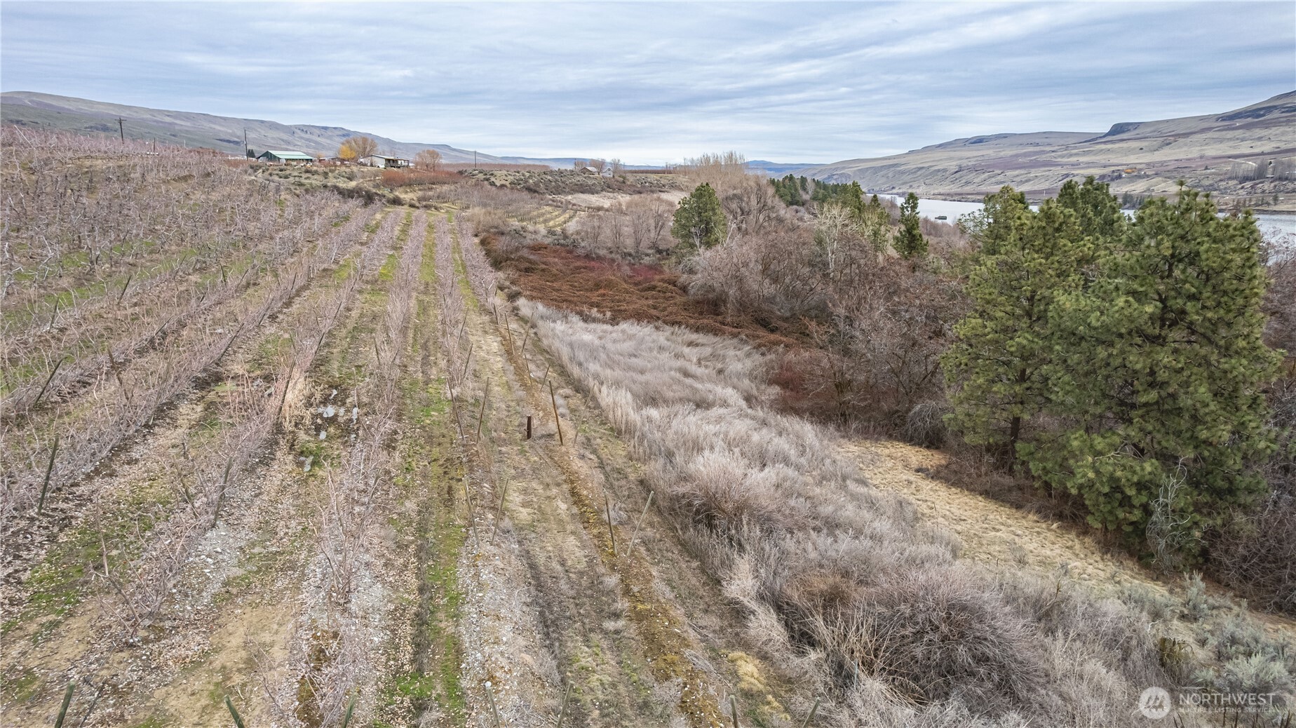 472 C Jack Wells Road Bridgeport, WA 98813 - Photo 15 of 27 a view of a yard with an outdoor space
