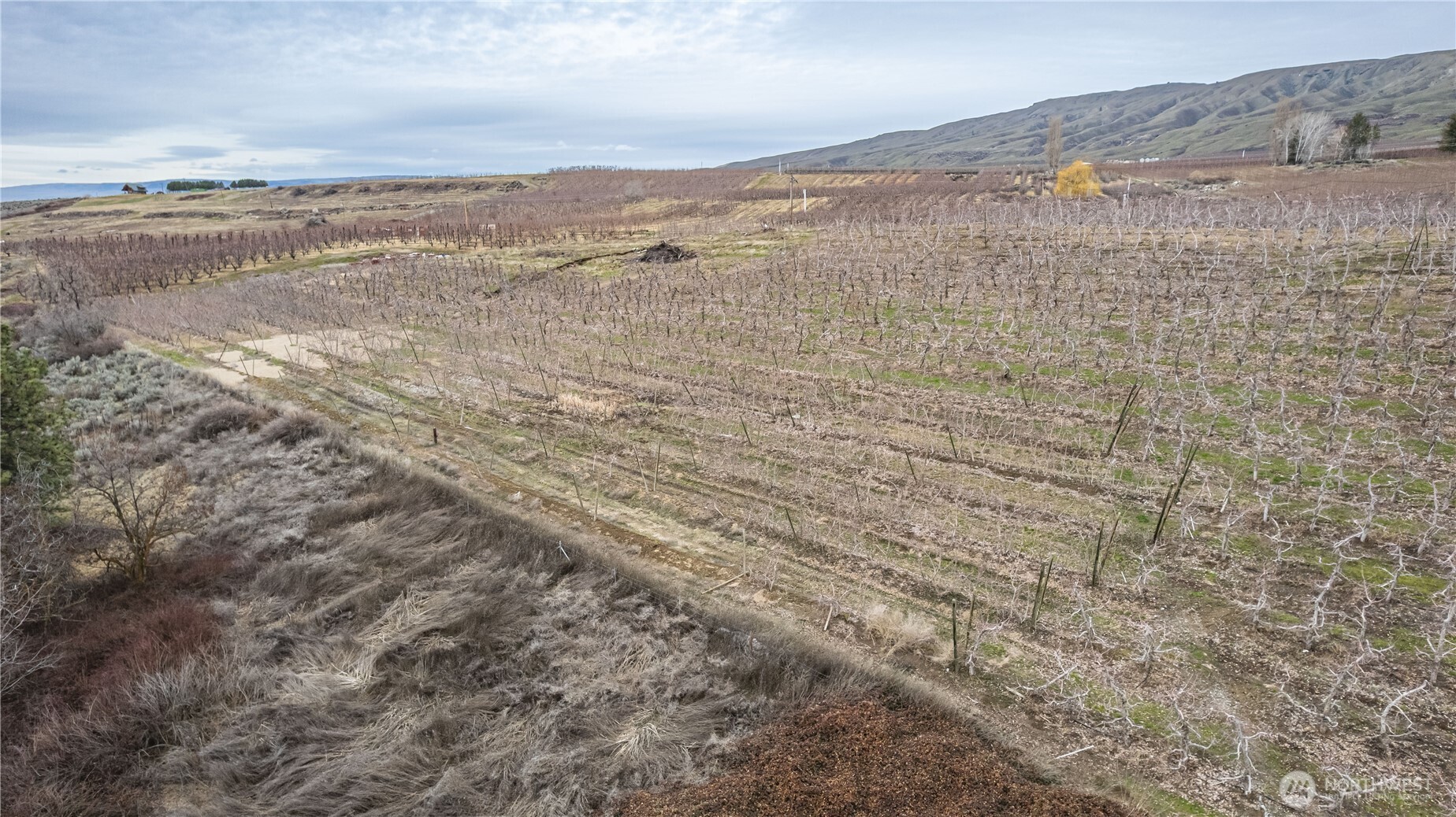 472 C Jack Wells Road Bridgeport, WA 98813 - Photo 16 of 27 a view of beach and ocean