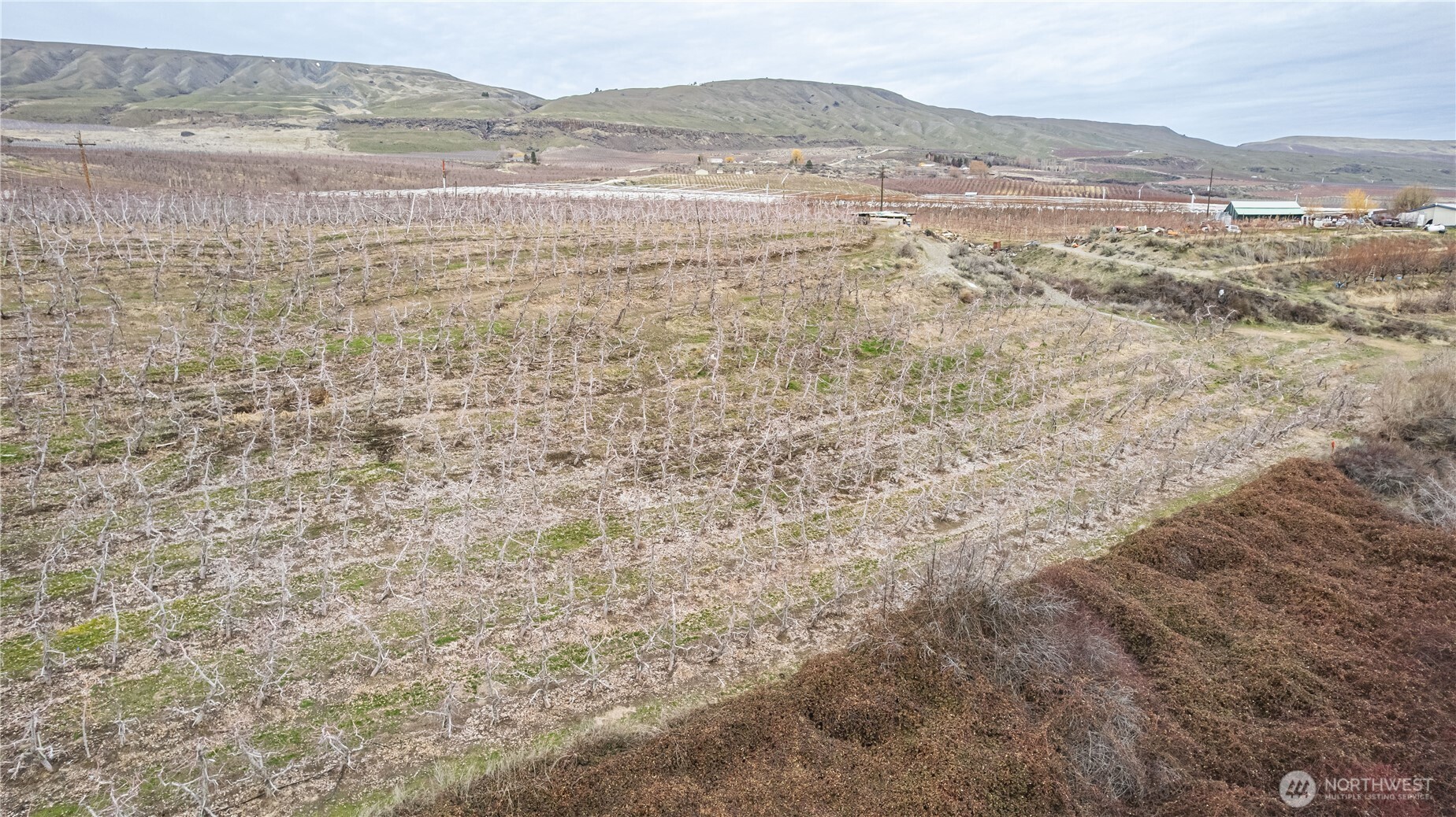 472 C Jack Wells Road Bridgeport, WA 98813 - Photo 17 of 27 a view of ocean with a mountain