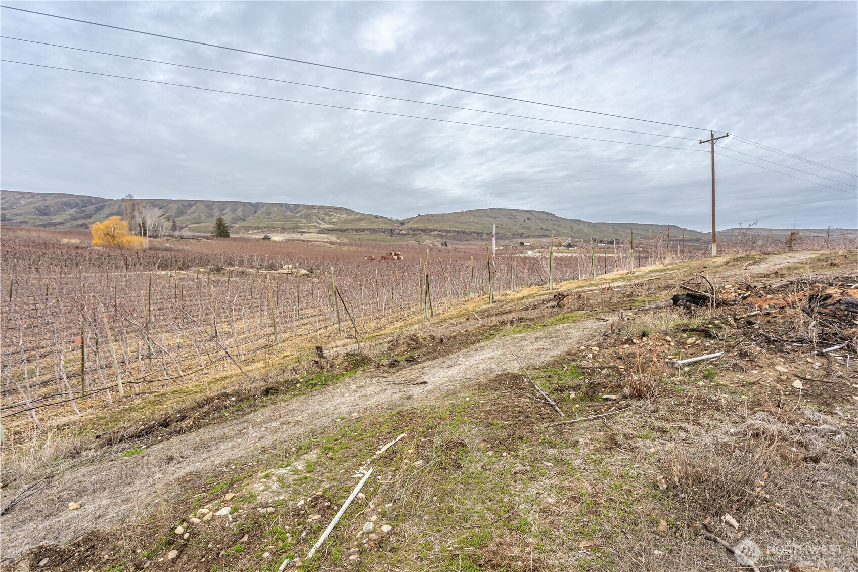 472 C Jack Wells Road Bridgeport, WA 98813 - Photo 23 of 27 a view of a sky from a yard