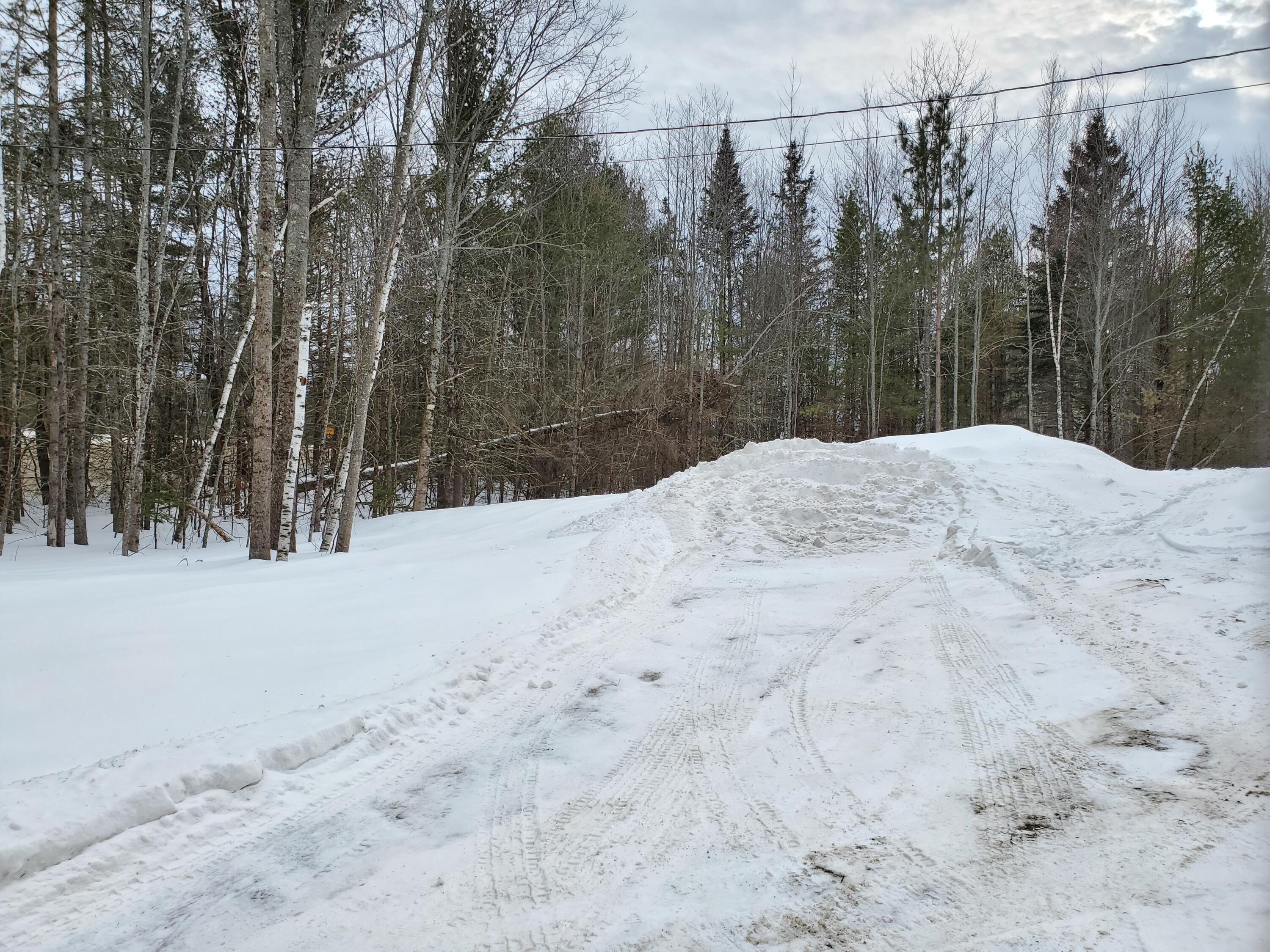 388 Kenduskeag Levant Road Kenduskeag, ME 04450 - Photo 28 of 28 Side woods