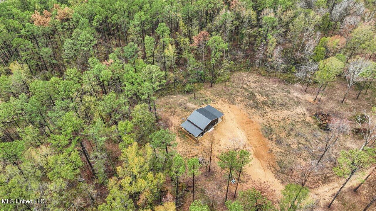 2178 Burney Road Crystal Springs, MS 39059 - Photo 26 of 39 32-2178 Burney Rd