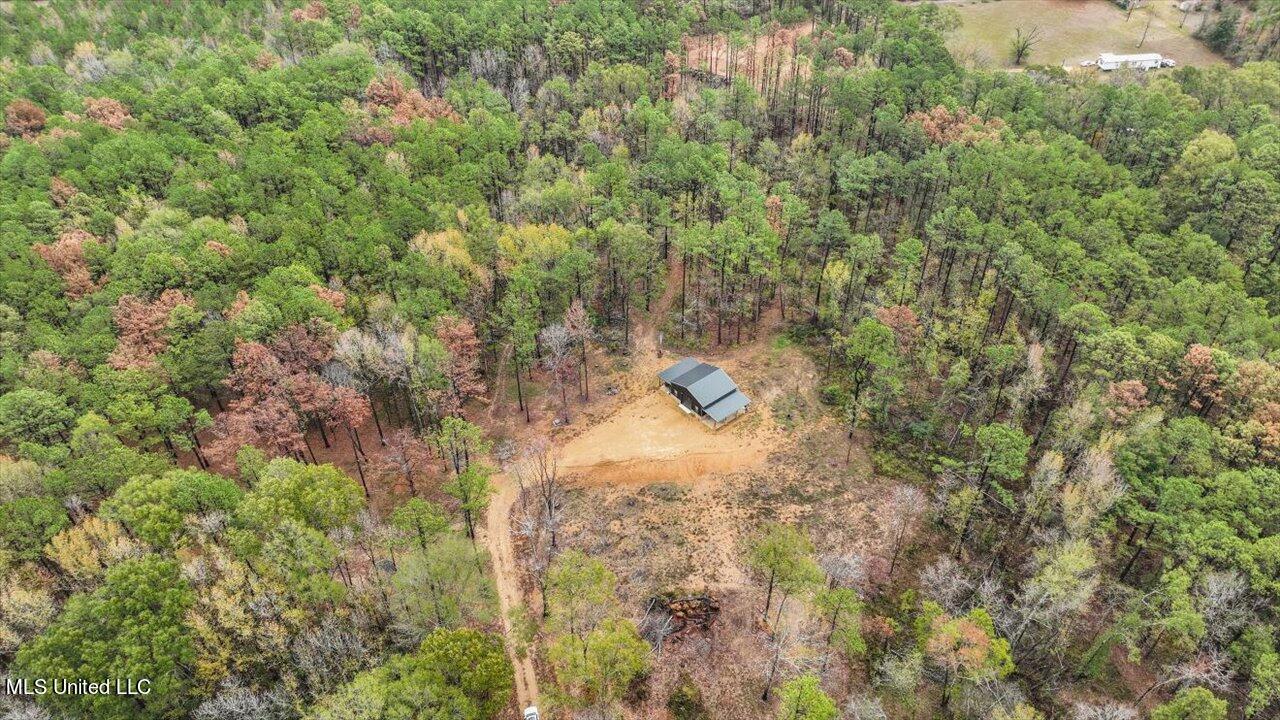 2178 Burney Road Crystal Springs, MS 39059 - Photo 27 of 39 34-2178 Burney Rd