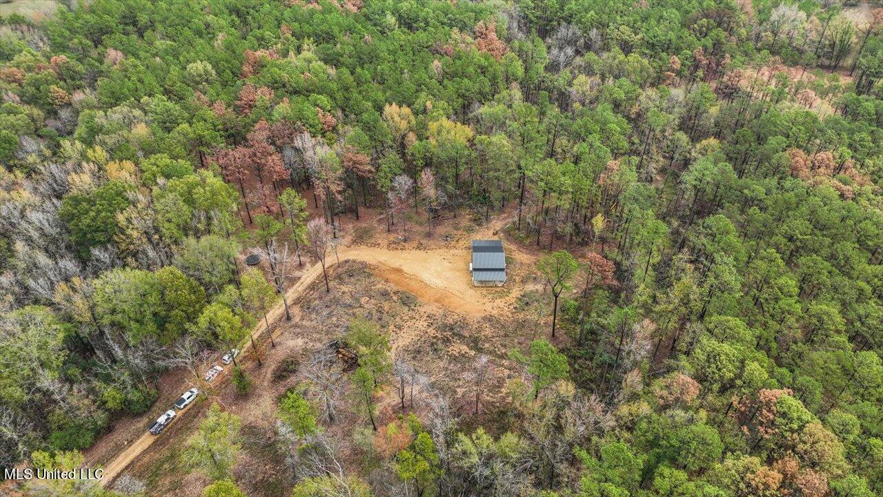 2178 Burney Road Crystal Springs, MS 39059 - Photo 28 of 39 35-2178 Burney Rd