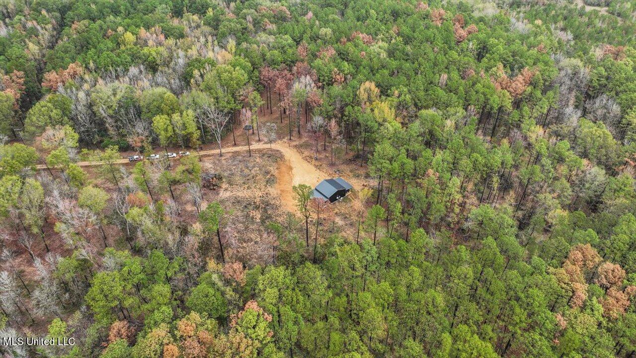 2178 Burney Road Crystal Springs, MS 39059 - Photo 29 of 39 36-2178 Burney Rd