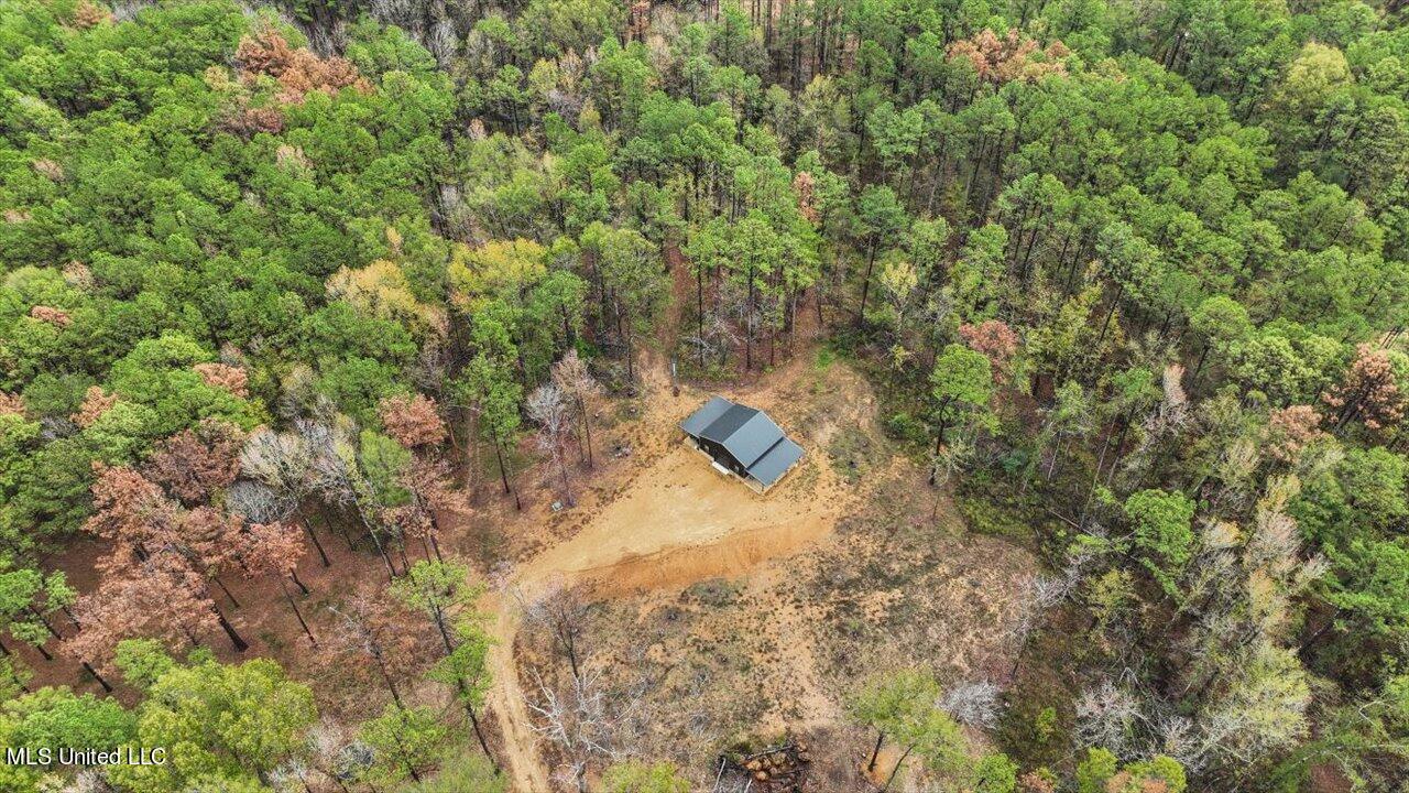 2178 Burney Road Crystal Springs, MS 39059 - Photo 33 of 39 52-2178 Burney Rd