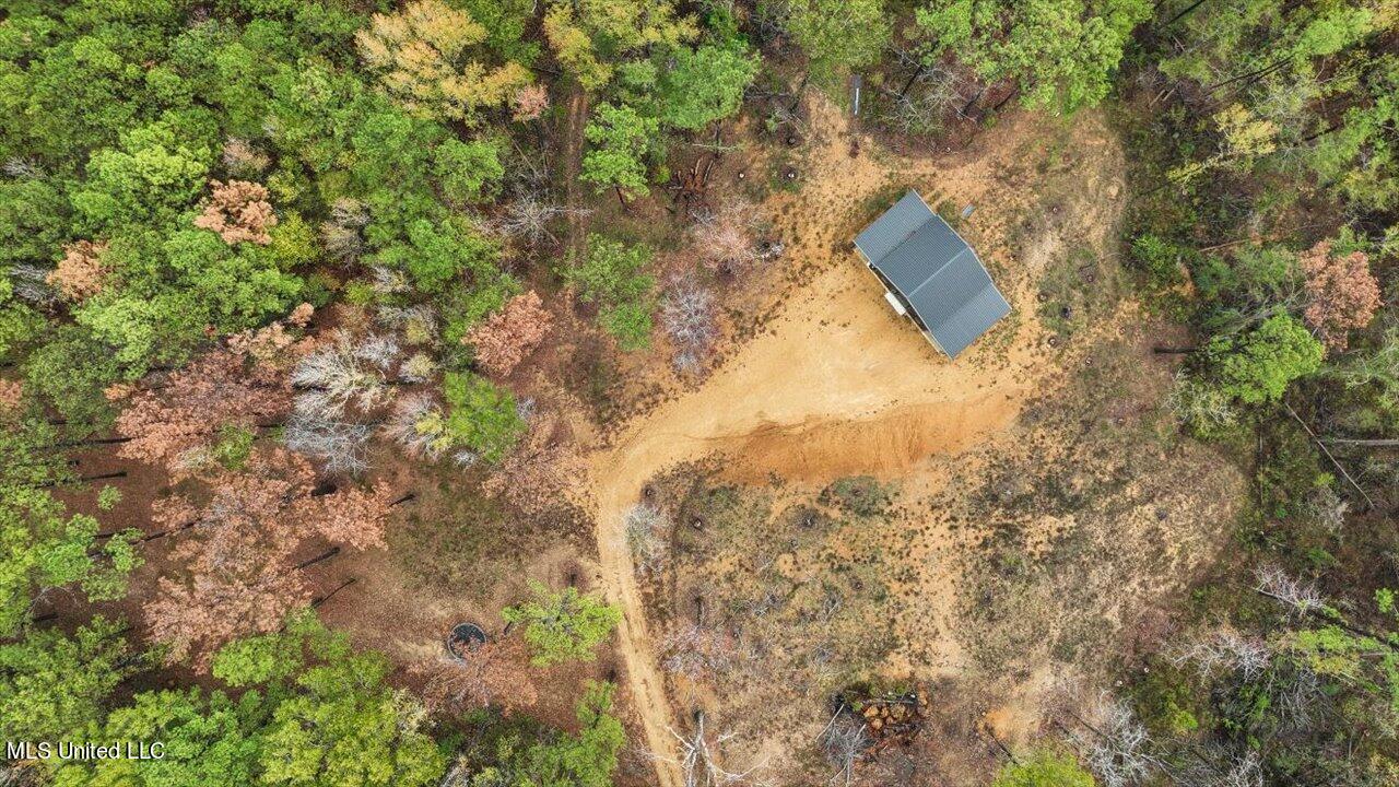 2178 Burney Road Crystal Springs, MS 39059 - Photo 34 of 39 53-2178 Burney Rd