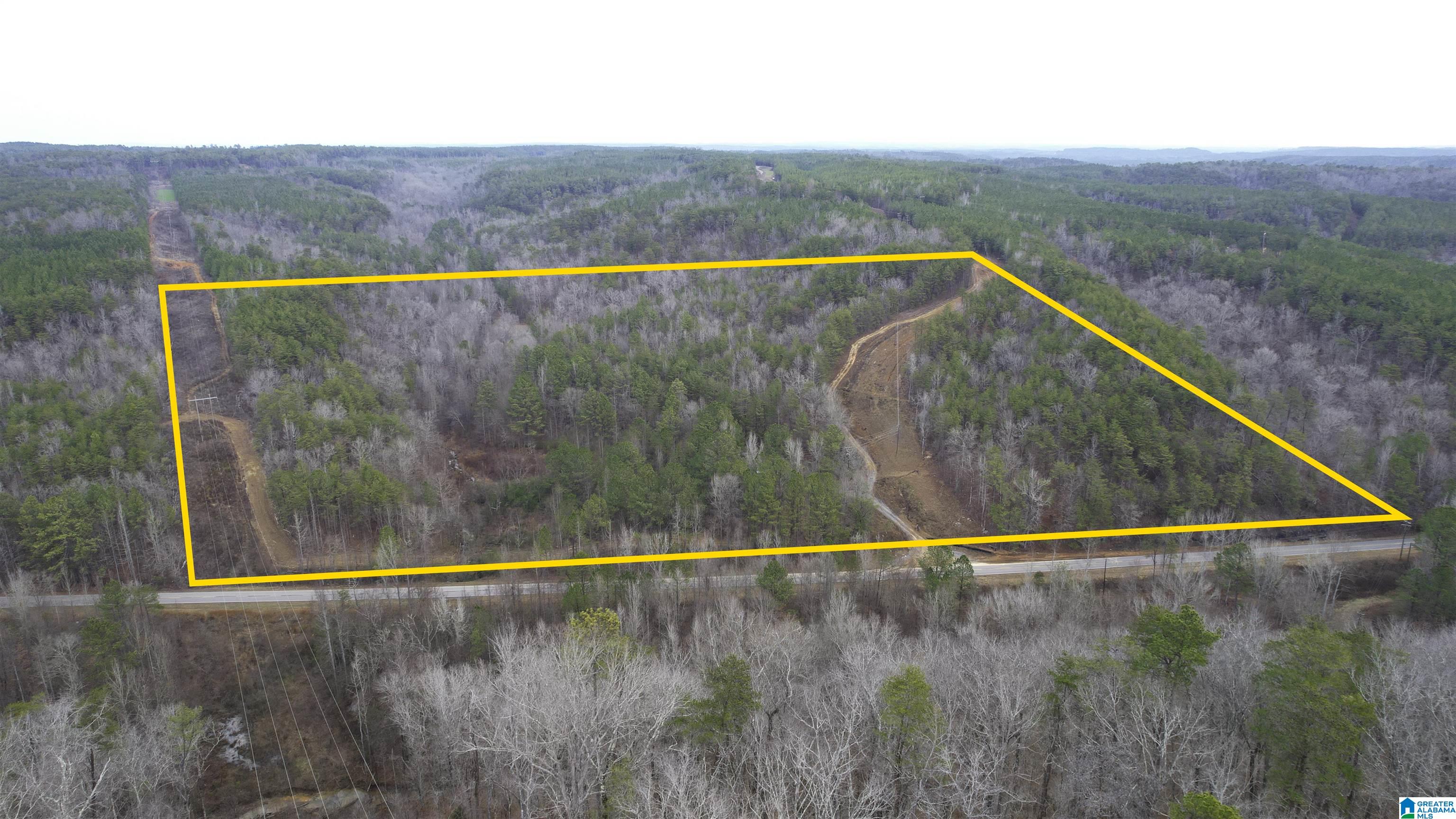 8751 Groundhog Road, Unit 41 ACRES Adger, AL 35006 - Photo 2 of 17