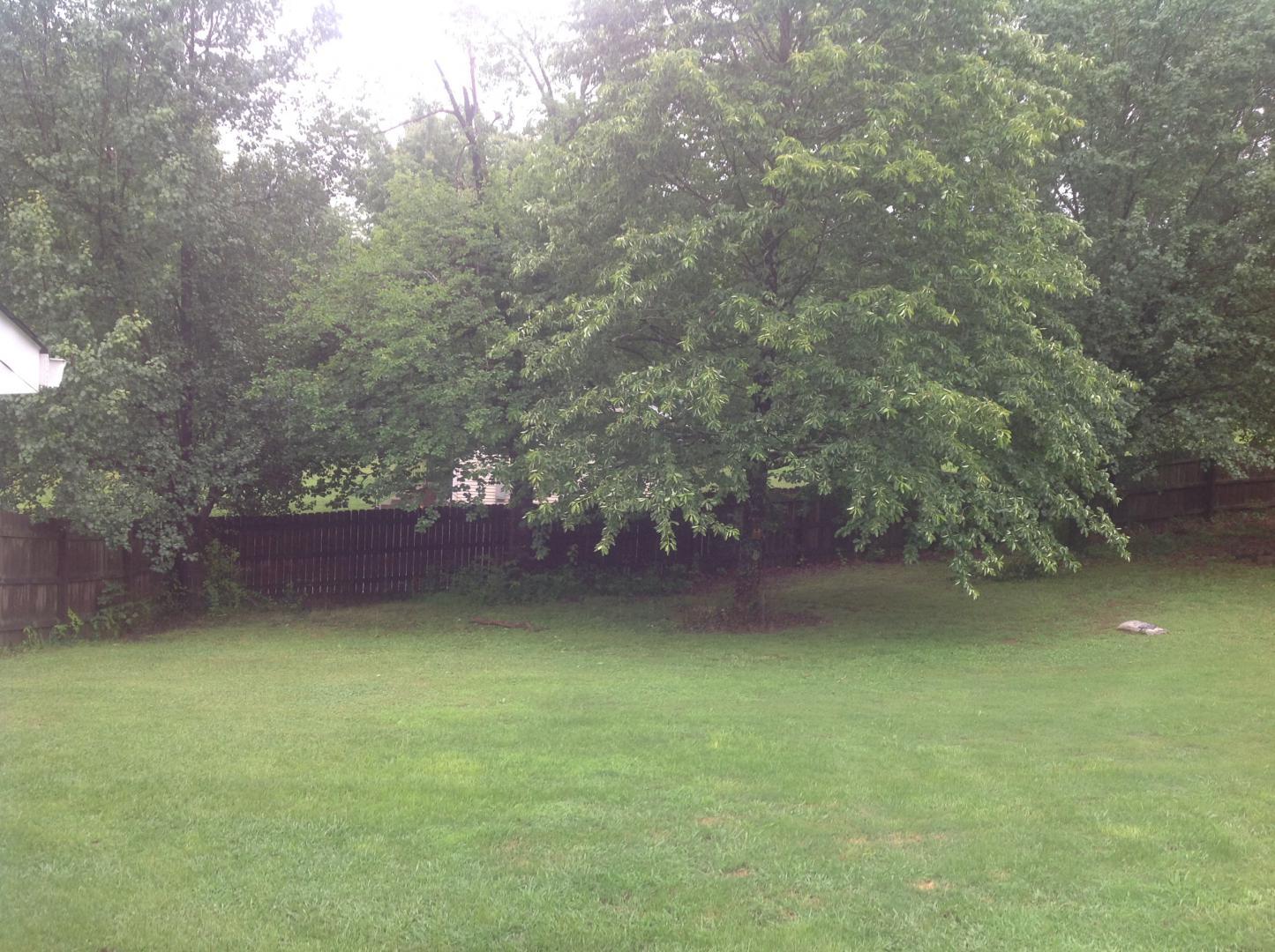 258 Old Columbia Road Dickson, TN 37055 - Photo 12 of 17 Gallery Image 12