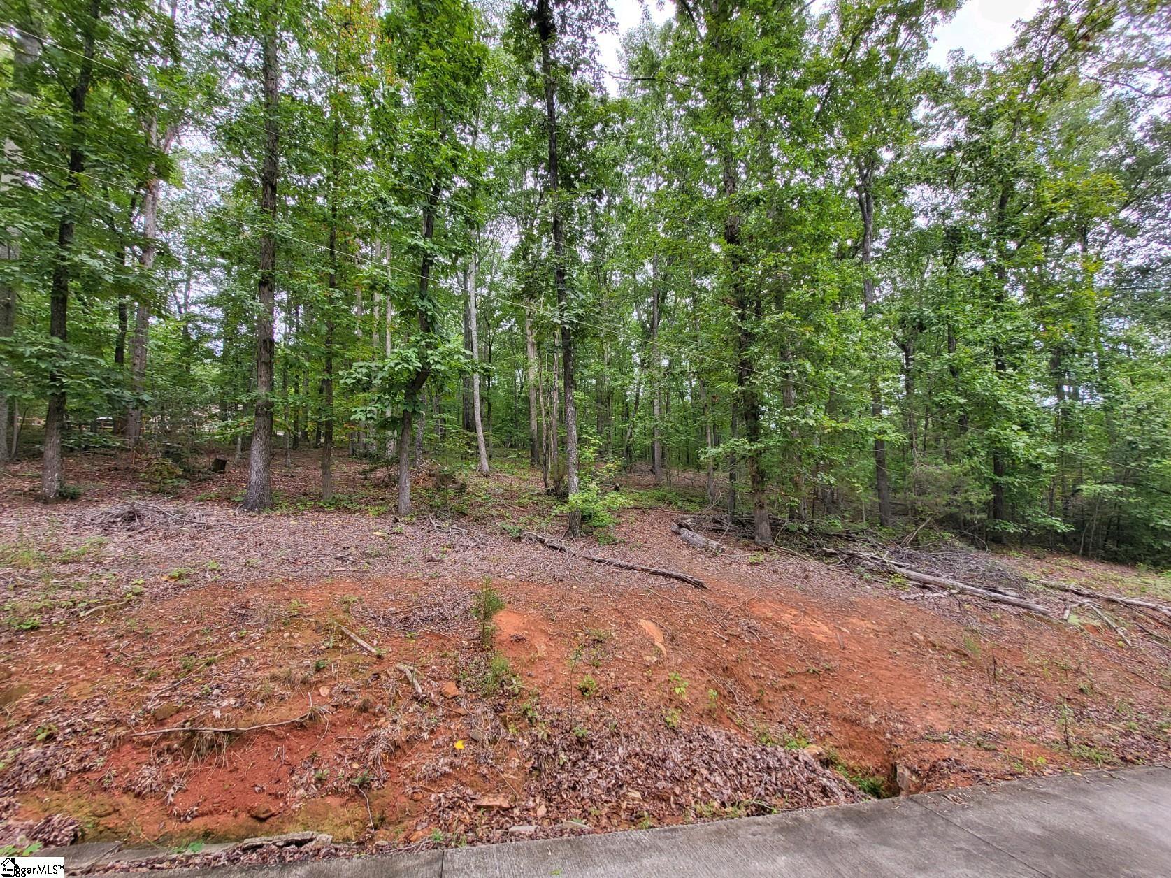 4370 Hawkins Road Greer, SC 29651 - Photo 7 of 14