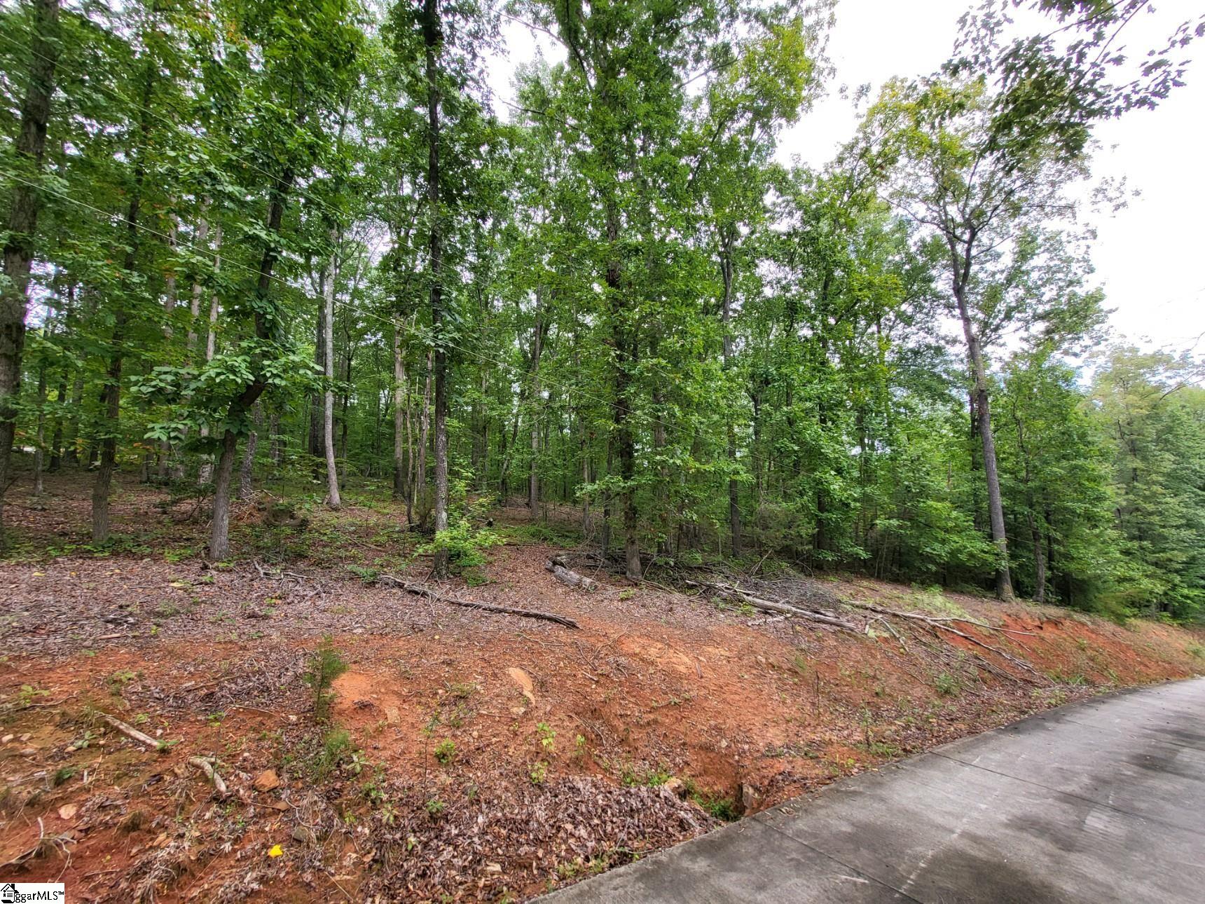 4370 Hawkins Road Greer, SC 29651 - Photo 8 of 14