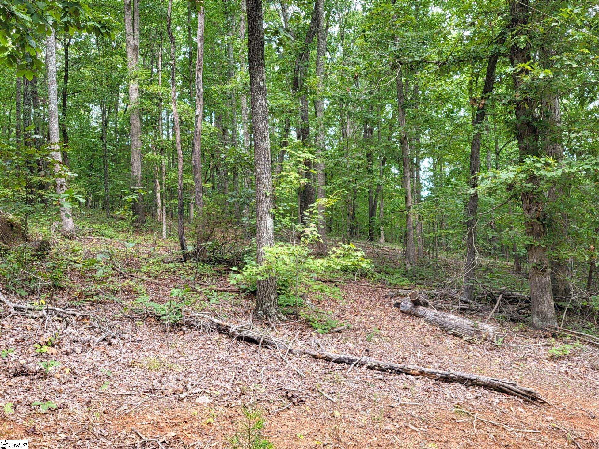 4370 Hawkins Road Greer, SC 29651 - Photo 10 of 14