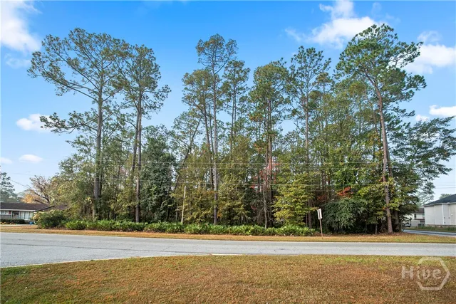 $750,000 | 829 Olmstead Drive, Hinesville, GA 31313