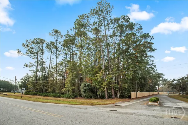 $750,000 | 829 Olmstead Drive, Hinesville, GA 31313