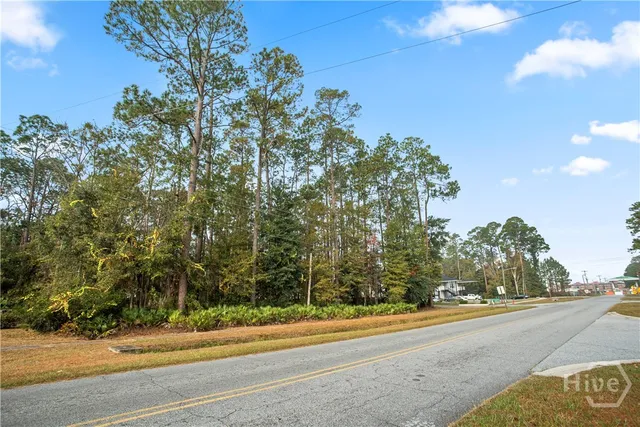 $750,000 | 829 Olmstead Drive, Hinesville, GA 31313