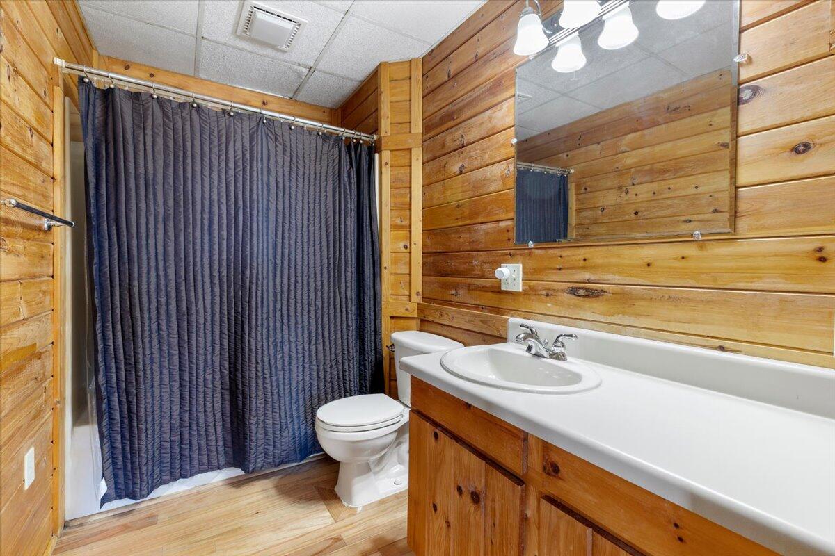 2665 Old Rte 100 Road Draper, VA 24324 - Photo 83 of 105 a bathroom with a sink a toilet and shower