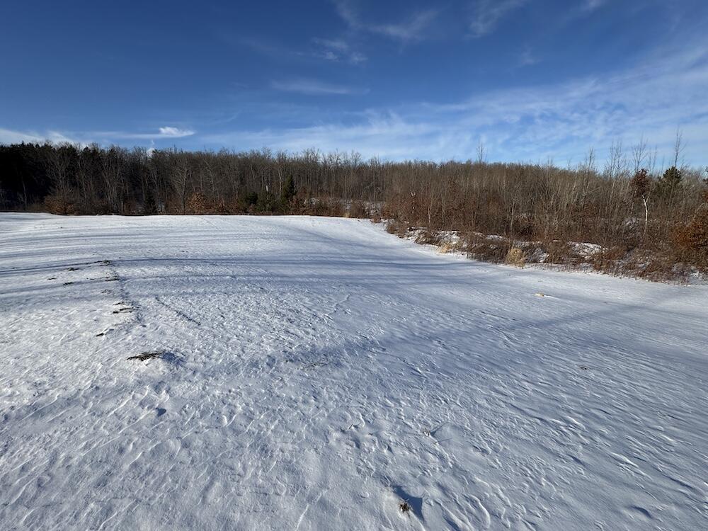 152-acres West Miller Road Mio, MI 48647 - Photo 12 of 137 9(1)