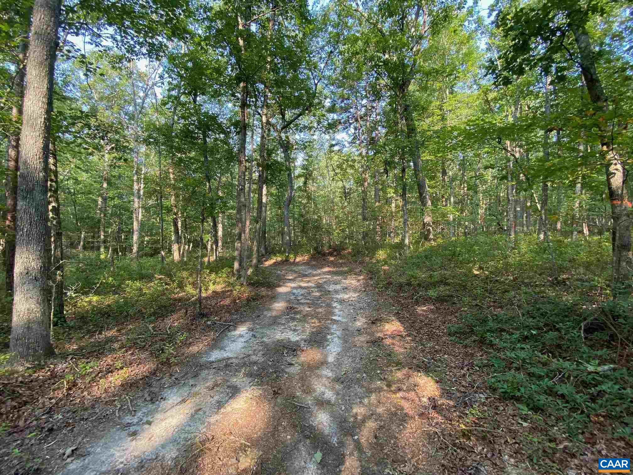 0 Old CC Road, Unit B Gordonsville, VA 22942 - Photo 11 of 14