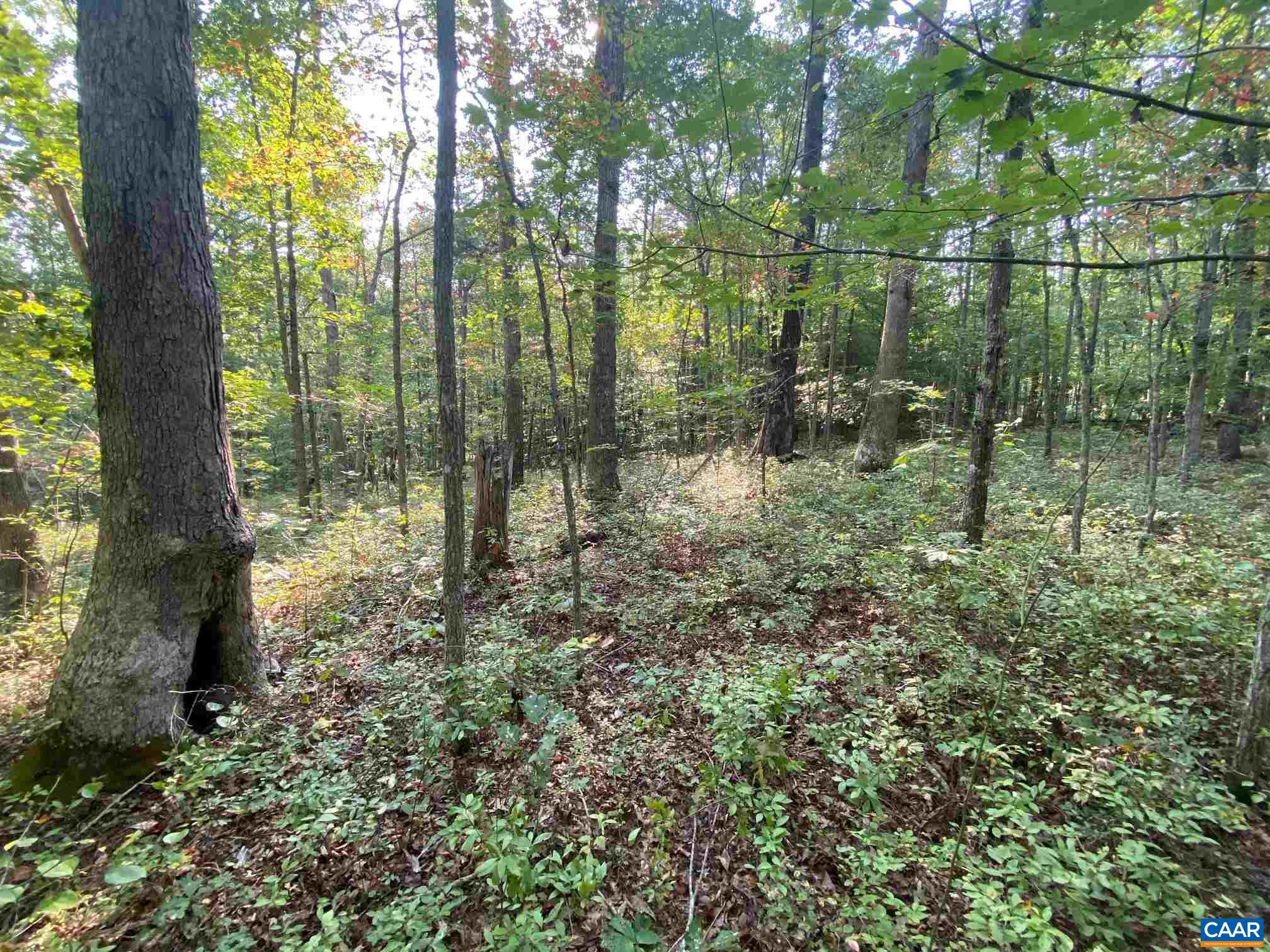 0 Old CC Road, Unit B Gordonsville, VA 22942 - Photo 13 of 14