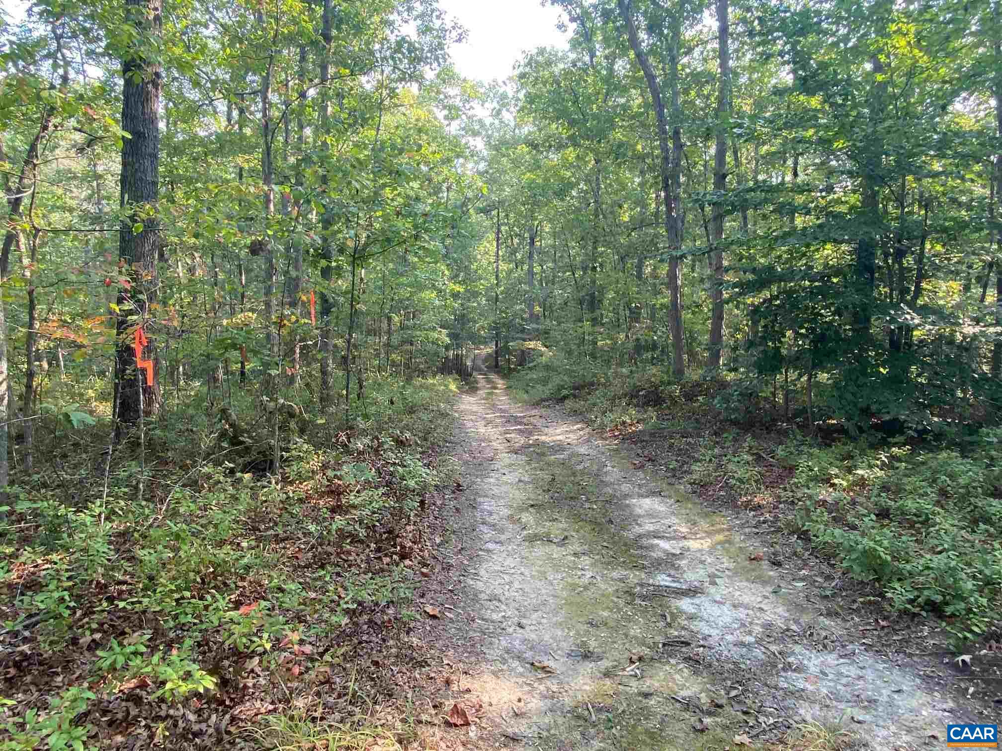 0 Old CC Road, Unit B Gordonsville, VA 22942 - Photo 14 of 14
