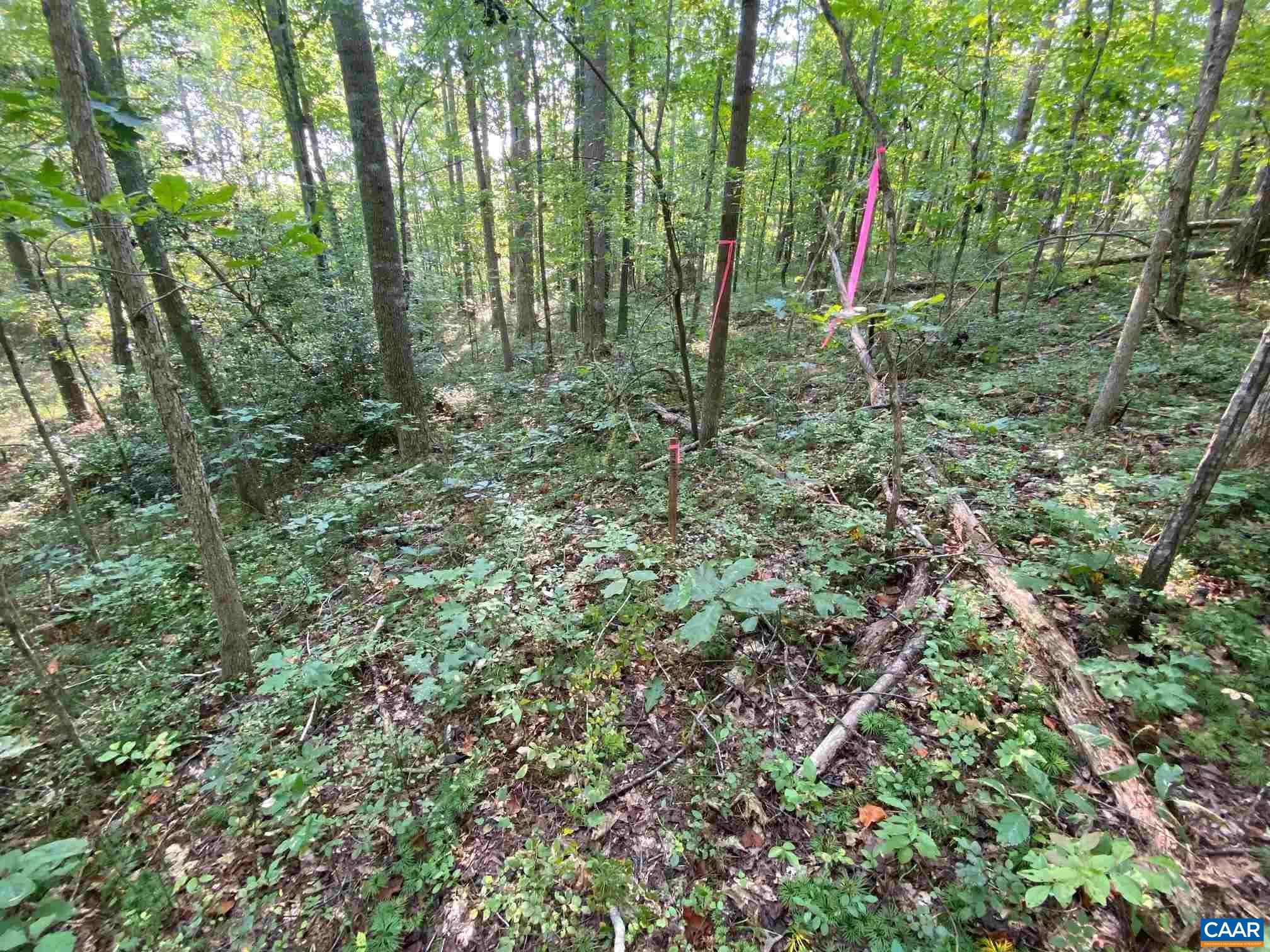 0 Old CC Road, Unit B Gordonsville, VA 22942 - Photo 3 of 14