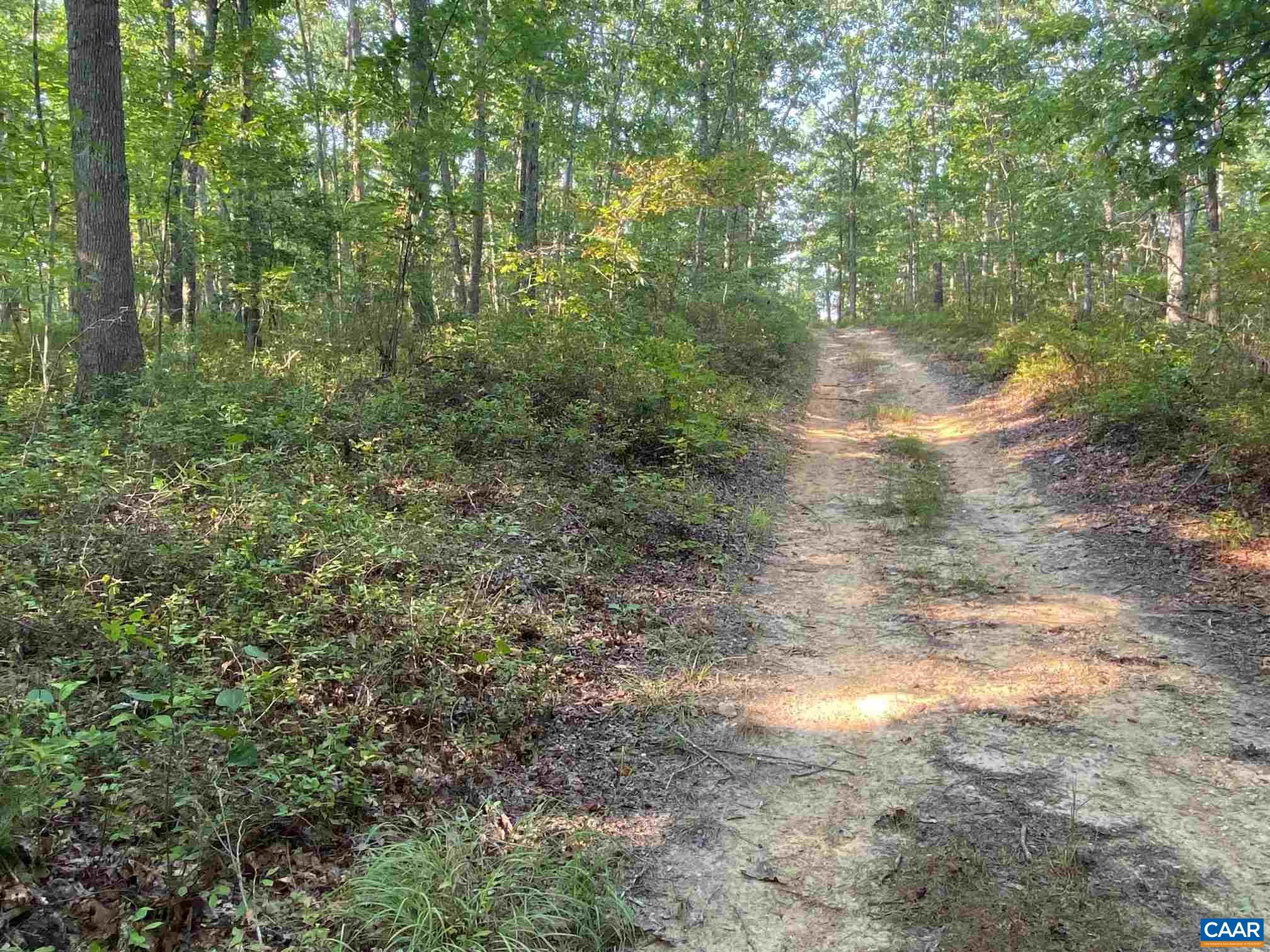 0 Old CC Road, Unit B Gordonsville, VA 22942 - Photo 4 of 14