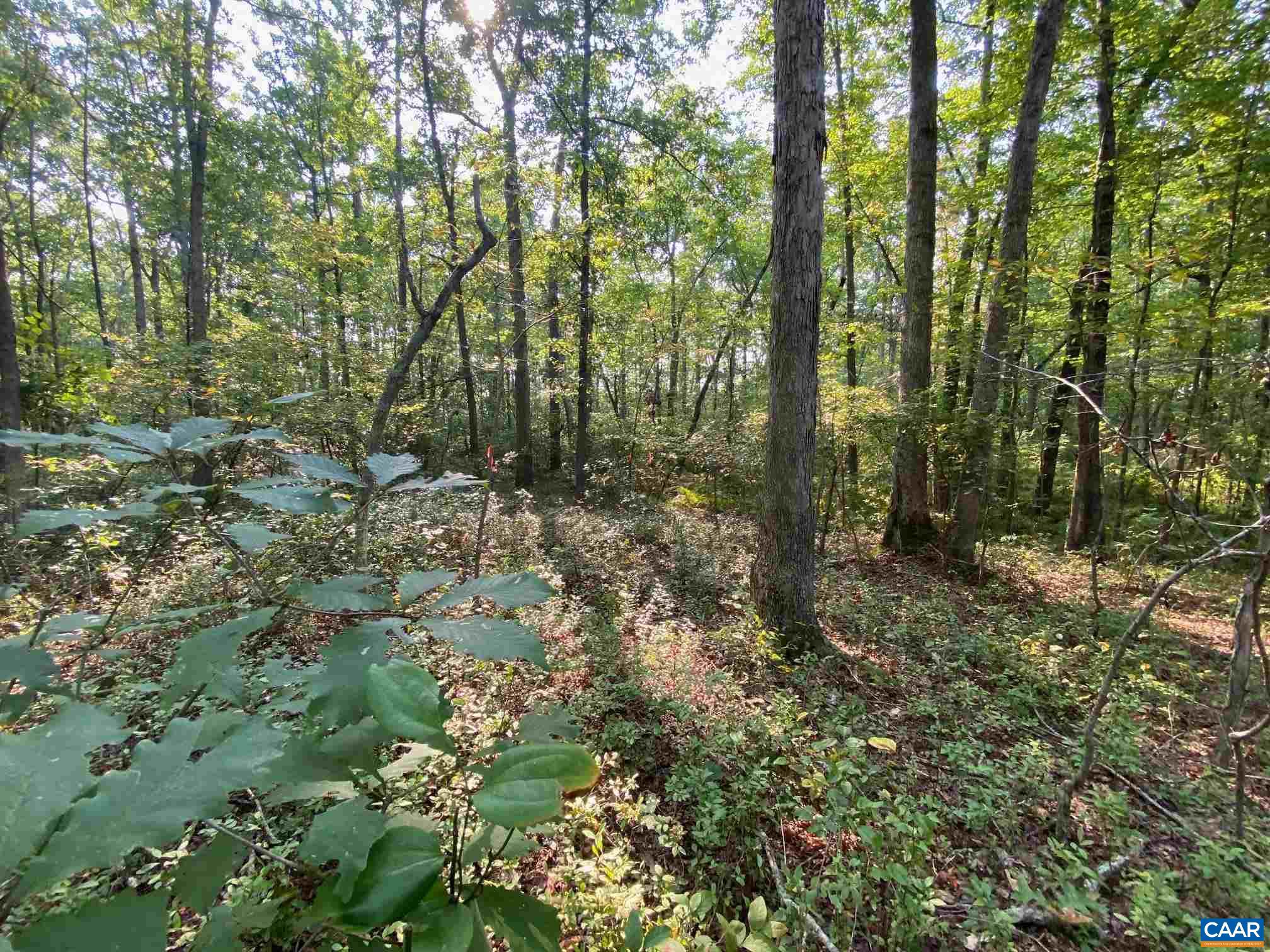 0 Old CC Road, Unit B Gordonsville, VA 22942 - Photo 9 of 14