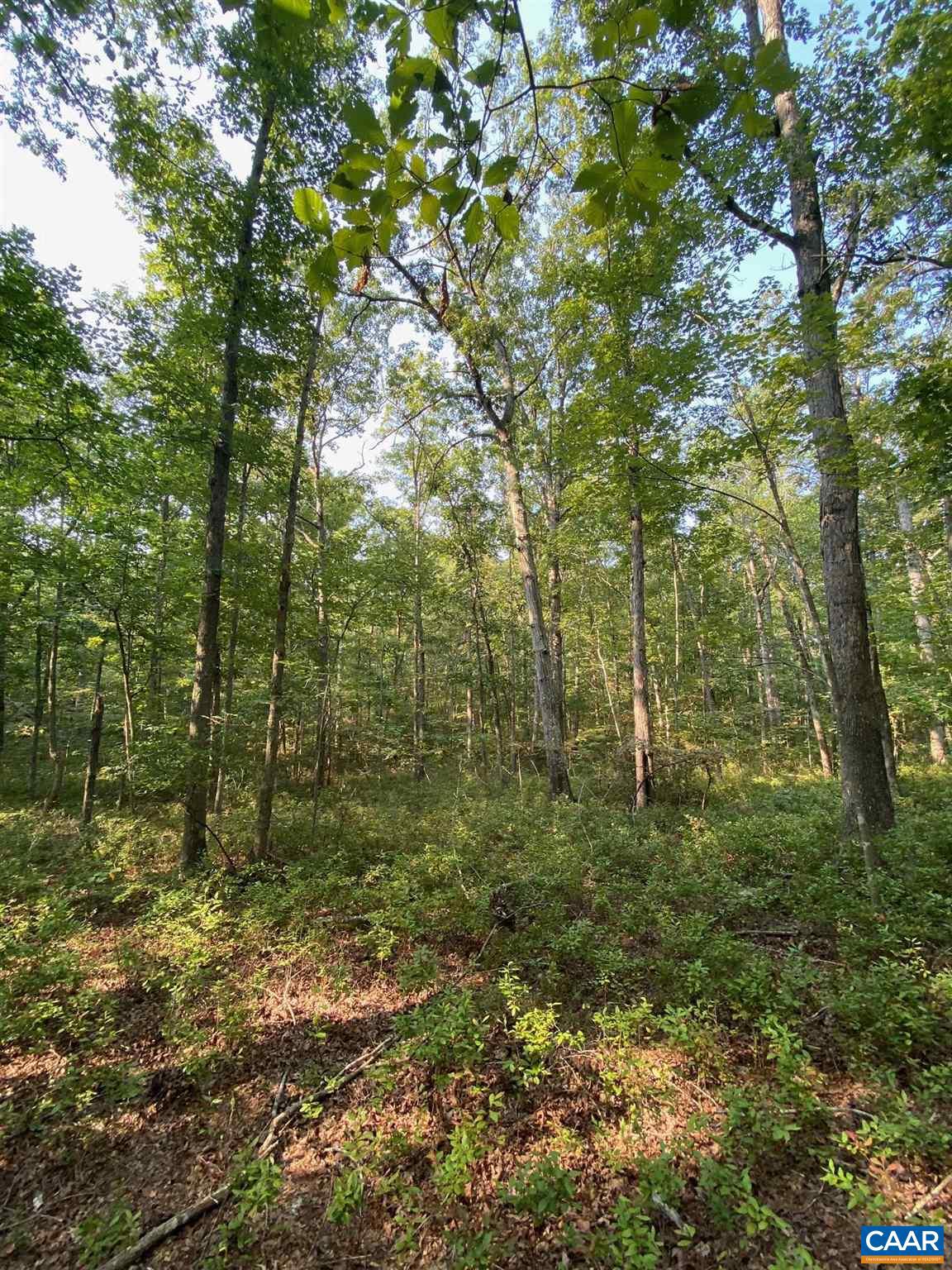 0 Old CC Road, Unit B Gordonsville, VA 22942 - Photo 10 of 14