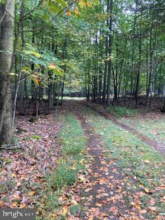 Old Mountain Road Bethel, PA 19507 - Photo 6 of 6 1.5 mile drive back to property